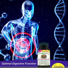 Lactobacillus Cystitis | Best Supplement Capsule Pill Men Women FREE SHIP