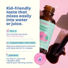 Joyspring Chlori Drops 30 Servings Chlorophyll For Kids Daily Freshness Support