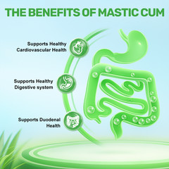 Natural Mastic Gum 1000mg Non GMO/Gluten Free Support Digestive Health 120 Caps