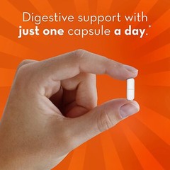 ALIGN PROBIOTIC – DIGESTIVE SUPPORT – 42 CAPSULES – EXP. 11/2026