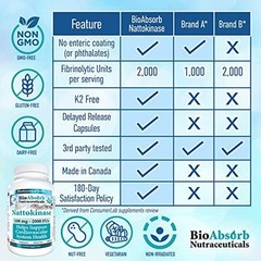 Bio Absorb Nattokinase Supplement. Non-GMO Natto Extract Enzyme. 100 mg, 2000 60