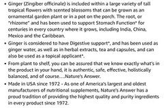 Nature’s Answer GINGER ROOT EXTRACT 1 fl. oz 1000mg ( 30 Servings ) FREE SHIP!