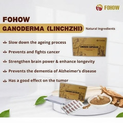 FOHOW Ganoderma Capsules Herbal Dietary Supplement Lingzhi 24 Capsules New