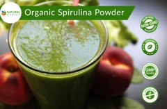 Premium USDA Organic Spirulina Powder – Highest Quality of Blue Green Algae