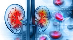 Electrolyte Balance – KIDNEY SUPPORT – Blood Filtration 1 Bottle 60 Capsules