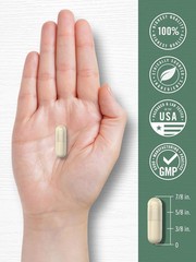 Red Marine Algae | 1600 mg | 200 Capsules | Vegetarian, Non-GMO | by Carlyle