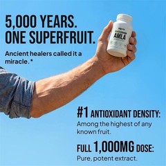 AMLA Capsules High Potency Superfruit AMLA Formula Extract Dietary Supplement