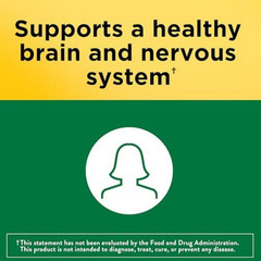 Nature Made Folic Acid 400 mcg (665 mcg Dfe) 250 Tabs
