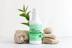 Natures Sunshine Liquid Chlorophyll ES 16oz Extra Strength Mint Formula