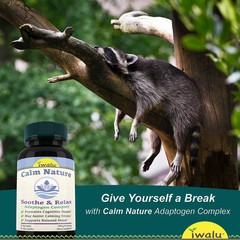 Sleep Aids That Work | Best Supplement Capsule Pill Men Women FREE SHIP