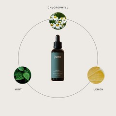 Liquid Chlorophyll Drops – Daily Detox, 3X Strength, Sugar-Free, Lemon & Mint Fl