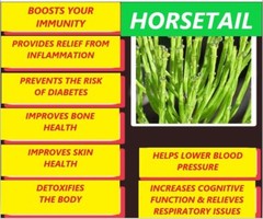 BLOOD PRESSURE & CIRCULATION SUPPORT HEALTHY CHOLESTEROL ARTERY CLEANSE PROTECT