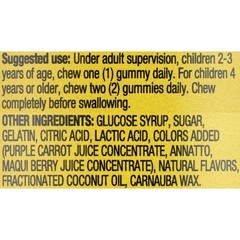 Natural Fruit Flavored Kids Multivitamin Gummies for Children’s Health Support,