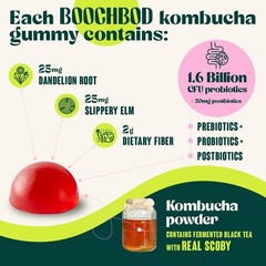 BoochBod Kombucha Gummies – Probiotics, Fiber, Slippery Elm, MCT Oil for Bloatin