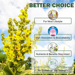 Mullein Gummies for Lung Detox, 2000Mg Mullein Leaf Extract for Respiratory & Di