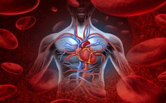 Blood pressure lowering – CHOLESTEROL RELIEF FORMULA – cholesterol balance – 1B