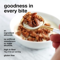 Zero Added Sugar Granola, Apple Cinnamon Nut, Gluten Free, Low Sugar, Keto Sn…