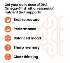 2 Bottles – NeuroQ Memory DHA-400 Brain Health Omega-3, 120 Caps ea – Exp 7/2027