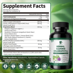 Chlorophyll Herbal Complex Capsules, 60 Vegan Energy & Immune Support