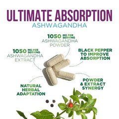 Ashwagandha Supplements – High-Absorption 120 Count (Pack of 1)