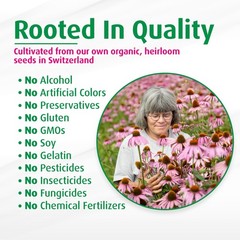 A Vogel Echinacea Immunity Support Tablets Organic 120 Count Easy To Swallow