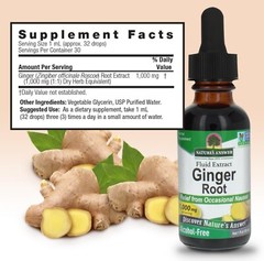 Nature’s Answer GINGER ROOT EXTRACT 1 fl. oz 1000mg ( 30 Servings ) FREE SHIP!