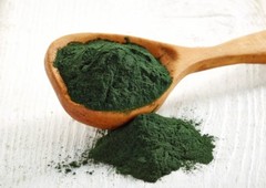 Immune support herbs – SPIRULINA 500MG (2) – spirulina bulk supplements