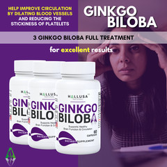 GINKGO BILOBA 240 mg – Cognitive Support – Memory & Concentration – 60 Caps