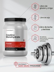 Horbäach Creatine Monohydrate Powder | 2.2lbs (35.2 oz) | Micronized and Unflavo