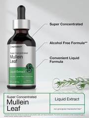 Horbäach Mullein Leaf Extract Drops | 2 fl oz | Alcohol 2 Fl Oz (Pack of 1)