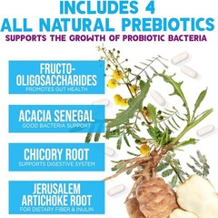 Daily Probiotic and Prebiotic Supplement 60 Billion CFU 10 Diverse Strains