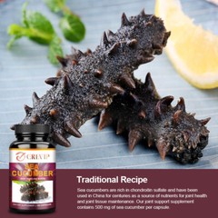 Sea Cucumber – Bone & Joint Health, Blood Pressure Support, Metabolism Support