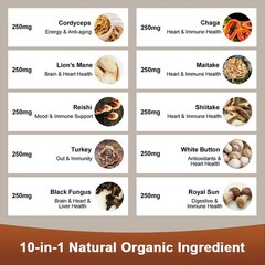 Mushroom Extract Complex Gummies Lions Mane Chaga Reishi Focus Memory Immunity