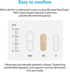 Universal Nootropic™ Brain Booster Supplement for Focus