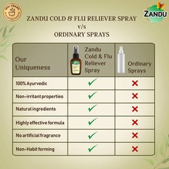 Cold & Flu Nasal Spray 22ml Wellness Spray by Zandu