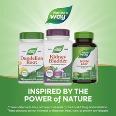 Kidney Bladder Premium Blend, Traditional Herbs Supplement, 900 Mg per 2-Capsule
