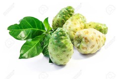 Digestive Aid – NONI EXTRACT – Vitality Boost 1 Bottle 60 Capsules