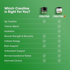 Optimum Nutrition Creatine Monohydrate Powder 120 Servings Unflavored 5g