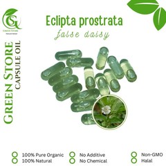100-1000 CAPSULES OIL Eclipta Prostrata False daisy For Hair Fresh Natural