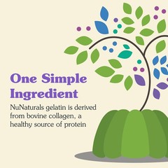 NuNaturals Unflavored Beef Gelatin Powder, Instantly Thickens, Stabilizes (5 LB)