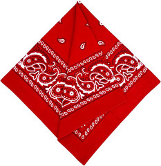 3 Pack Extra Large Bandanas 27” x 27” 100% Cotton for Men & Women Paisley Handke