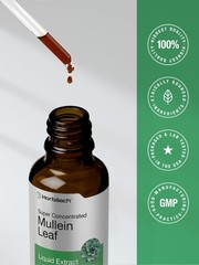Horbäach Mullein Leaf Extract Drops | 2 fl oz | Alcohol 2 Fl Oz (Pack of 1)
