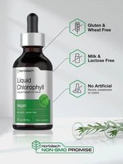 2 BOTTLES-Liquid Chlorophyll Drops Non-GMO, Natural Peppermint Flavor-Horbaach