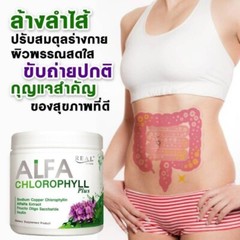 4 Free2 Real Elixir Alfa Chlorophyll Plus Natural Fiber Detox Drink Healthy Skin