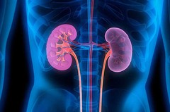 Cranberry Tablets-KIDNEY SUPPORT COMPLEX-Diuretic and a Stomach tonic-1B