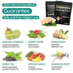 50PCS Slim Patch Weight Loss Slimming Diets Pads Detox Fat Burner Herbal Pads US