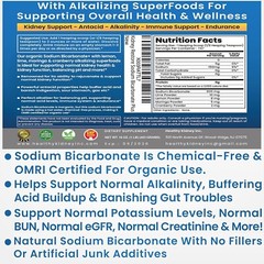 Organic Use Sodium Bicarbonate Alkaline Supplement Kidneys Stomach Powder 1LB