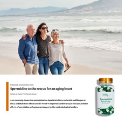 Spermidine Australia 10mg Per Capsule + Resveratrol 60s Anti Aging Supplements