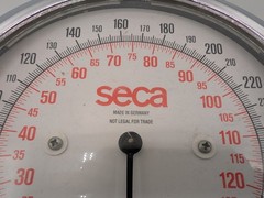 Vintage Seca Mechanical Floor Scale Made in Germany 320 lb 150 kg Capacity