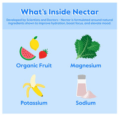 Nectar Hydration Packets – Electrolytes Powder Packets – No Sugar or Calories..